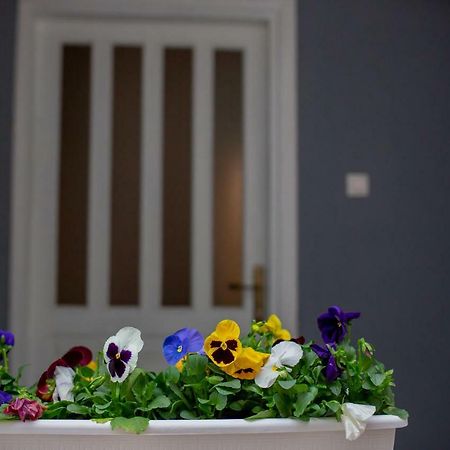 Apartmani Sunset Rogotin Bagian luar foto