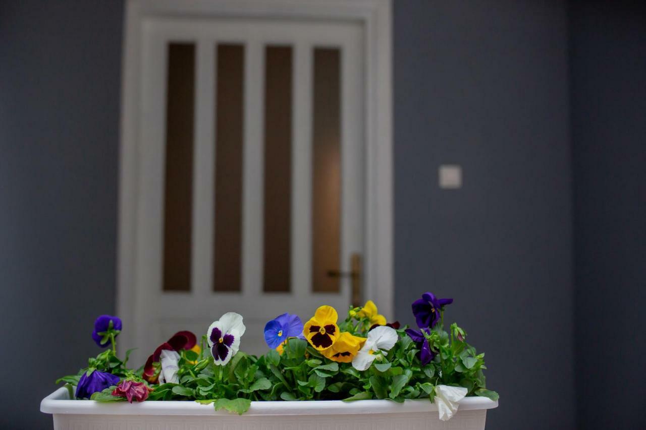 Apartmani Sunset Rogotin Bagian luar foto
